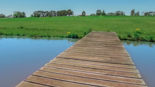 El mercado inmobiliario del interior recibe más inversiones y crece el interés por sus barrios privados (Parque del Lago en San José de Mayo aceleró la venta de sus terrenos y casas)