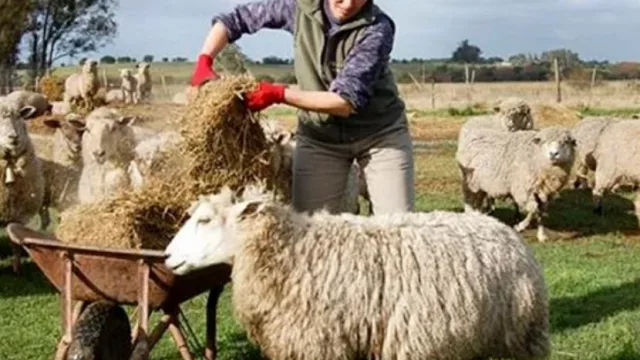 Turismo rural con cara de mujer (apoyo a emprendimientos con perspectiva de género)