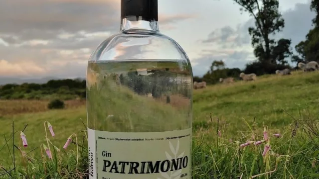 Un gin con el sabor de los aromas del monte (un Patrimonio para degustar)