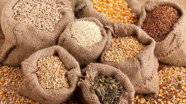 Ahora con una pata en logística y acondicionamiento (Fadisol renueva su modelo de negocio)