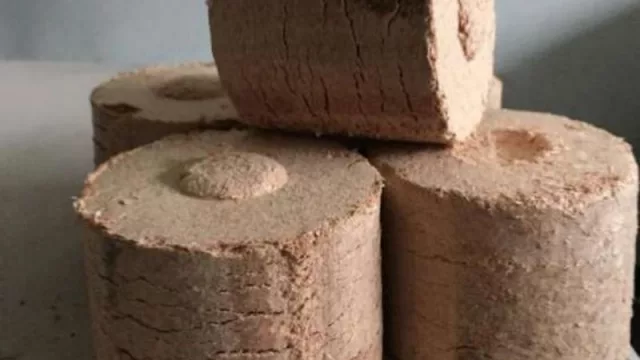 Si hace frío prendé un fuego con briquetas (la leña más ecológica para calentar tu casa)