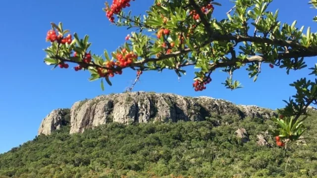 A concursar que hay $ para apoyar al turismo (en Lavalleja, Cerro Largo y Treinta y Tres)