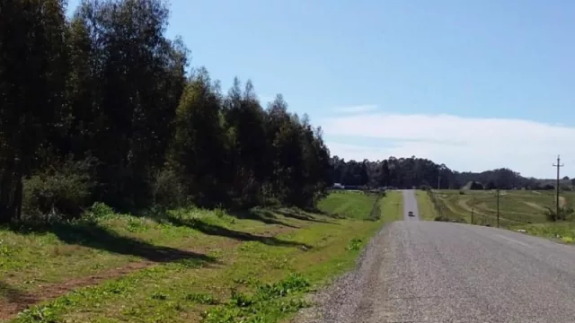 La moda de comprar “terrenos pelados” con destino recreativo (las inmobiliarias afirman que son “familias que se quieren desintoxicar”)