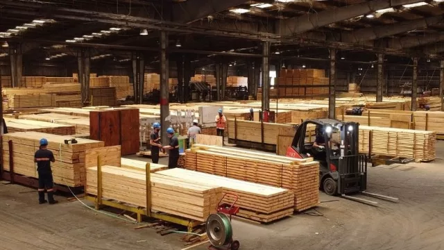 Inversión de US$ 20 millones transformará la matriz productiva de madera en UY