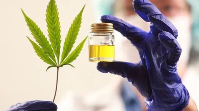 Está el producto y el mercado (lo que falta es un GACH cannábico) 