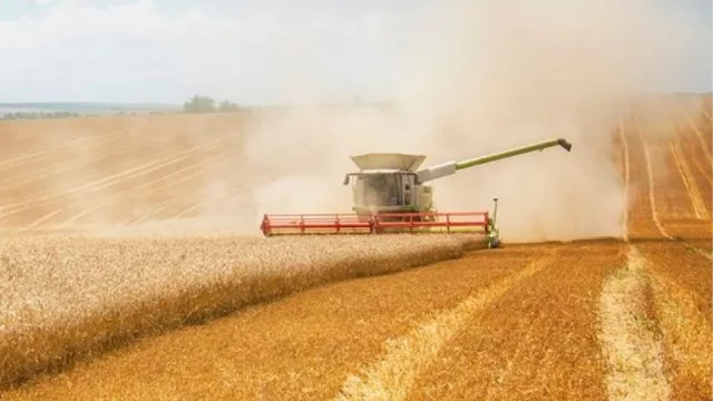 Un trimestre de exportaciones al alza (madera, carne bovina, celulosa y trigo hicieron punta en la suba)