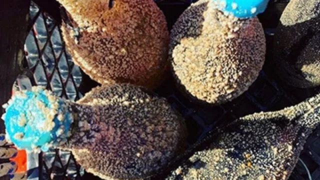 Una cava bajo el mar (la apuesta de Bodega Oceánica José Ignacio con sus vinos Ultramar)