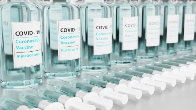 ¿Cuáles son las principales variables que influyen en la adquisición de vacunas contra el  COVID-19?