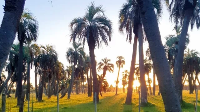 Rocha propone en Semana Santa pescar camarones en familia, hacer turismo de experiencia y disfrutar de los frutos nativos del departamento (presentan batería de opciones)