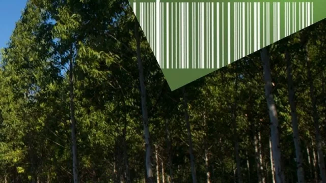 La empresa AF exportará 210.000 toneladas de bono de carbono (serían unos US$ 10 millones)