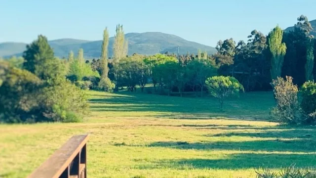 Ni rey Momo salvó al turismo (febrero cerró a la baja en todos los rubros)