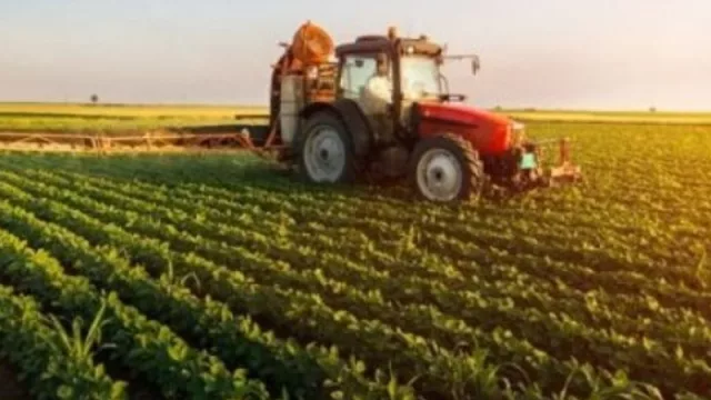 La recuperación económica en pausa (el Índice Líder de CERES baja 0,9% en febrero, pero el sector agropecuario da señales positivas que pueden contribuir crecimiento general)