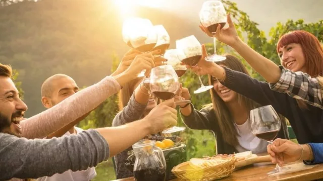 No es solo cuestión de descorchar (cursos de enoturismo de cara a una nueva vendimia)