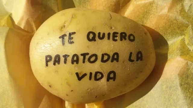 Patatas Anónimas: la historia del emprendedor que pasó del ERTE a CEO de una iniciativa exitosa (y solidaria)