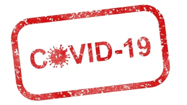 Las fronteras y el COVID-19