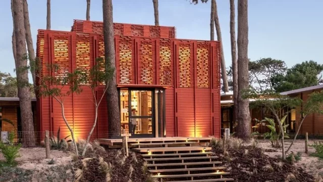 ¡Un cacho de cultura! (abrió Rizoma en José Ignacio)