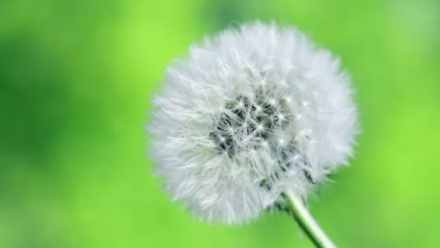 Un clásico de fin de año: Salud, Dinero o Amor (2 de 3, hay que elegir)