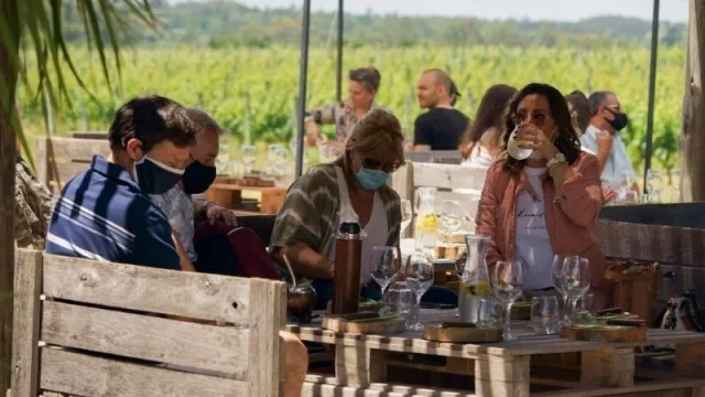 Que el vino empiece a rodar (Winebus te lleva una vez al mes a recorrer bodegas)