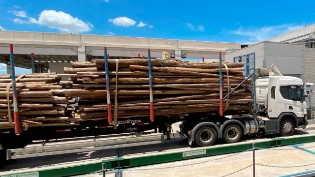 El “Peso Ideal” y no tiene que ver con dietas (Montes del Plata optimiza su operativa de camiones)