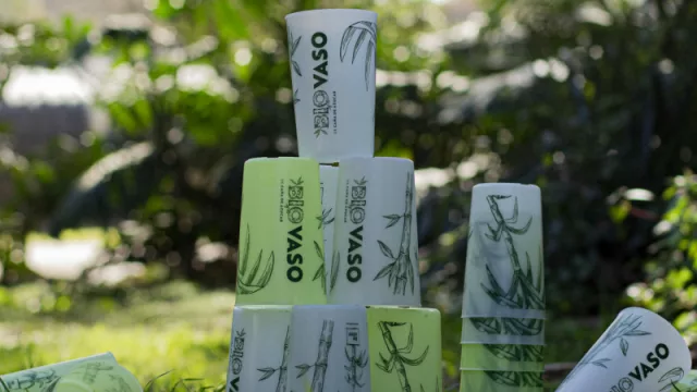 ReVaso le dice #chaudesartable con el éxito de sus productos (una opción rentable y de economía circular) 