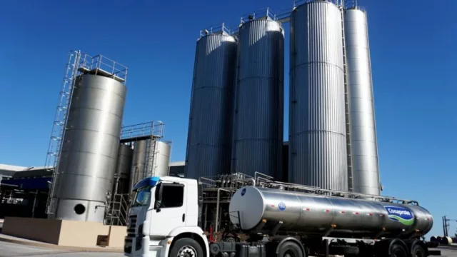 Conaprole gana licitación para colocar leche en polvo en Panamá (por US$ 4 millones)