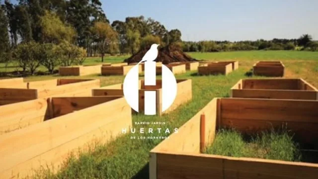 Ahora hasta los horneros tienen huerta (y con una inversión de US$ 50 millones brota un nuevo barrio)