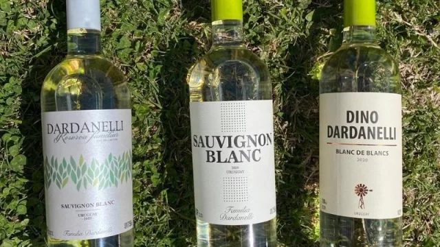 Familia Dardanelli aprovecha una “vendimia memorable” para ir por lo Sobrenatural 