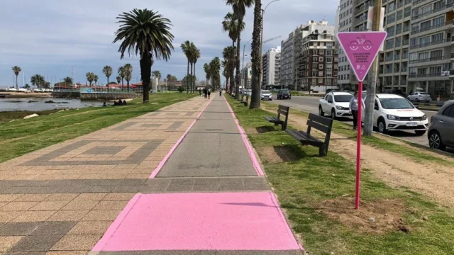 Pedalear en contra del cáncer de mama (Alcance Servicio de Compañía donará un equipo para la detección temprana)