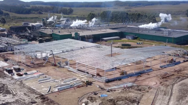 Maderera invierte US$ 38 millones en Tacuarembó (y va por nuevos mercados en Europa)