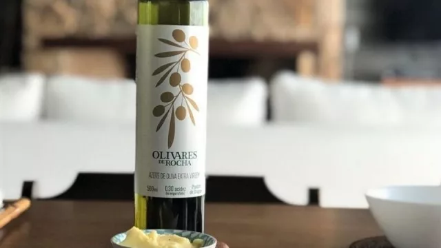 Aceitunas que gustan en Japón, Italia y Brasil (Olivares de Rocha cosecha tres premios)