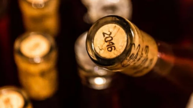 Siguiéndole la huella al vino (INAVI presentó proyecto de georreferenciación y trazabilidad)