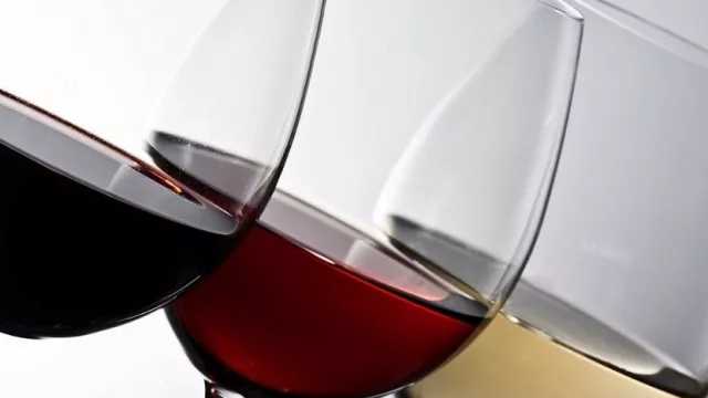 Rocha, Maldonado y Montevideo ponen los vinos del mes (Cava Privada realiza su cata de setiembre 2020)