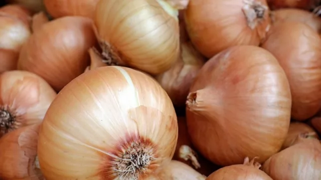 Las lágrimas que llegan de Argentina (hay faltante de cebollas y las importamos del país vecino)