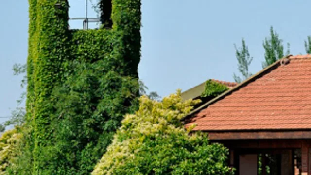 Almorzamos con el gerente general de Parque del Recuerdo, Rafael Dodera