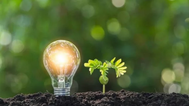 ¿Estás de acuerdo con la importancia de la creación del nuevo Ministerio de Medio Ambiente?