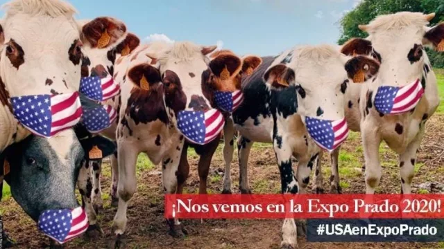 Cowboys entre el gauchaje (EEUU se mete en la Expo Prado 2020)
