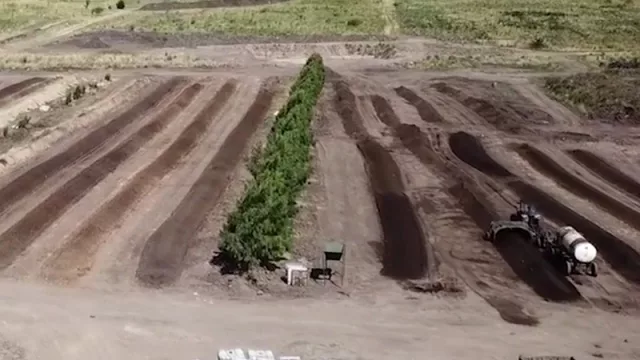 La empresa de compost y sustratos Bioterra dobló sus ventas y llega a su zafra con stock