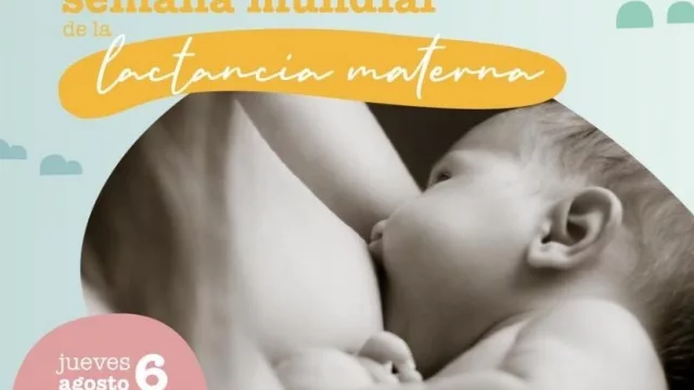 Para prenderse a lo concreto (SEMM realiza taller virtual de lactancia materna)