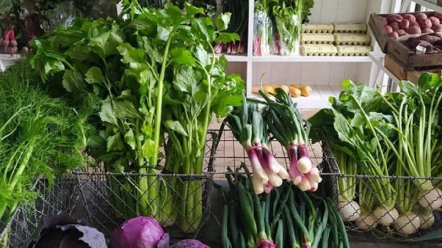 La panadería restorán que se convirtió en plaza del pueblo (La Linda en Manantiales abrió un mercado de vegetales orgánicos)