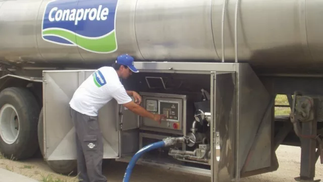 Conaprole busca destacarse con sus productos reducidos en azúcar y aptos para diabéticos 