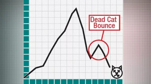 En los 5 primeros meses de 2020, la economía argentina cayó 13,2%