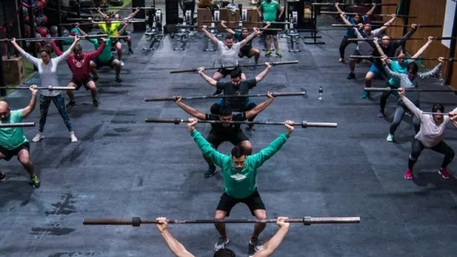 Instinto se pone en movimiento (lanzan dos tipos de franquicias)