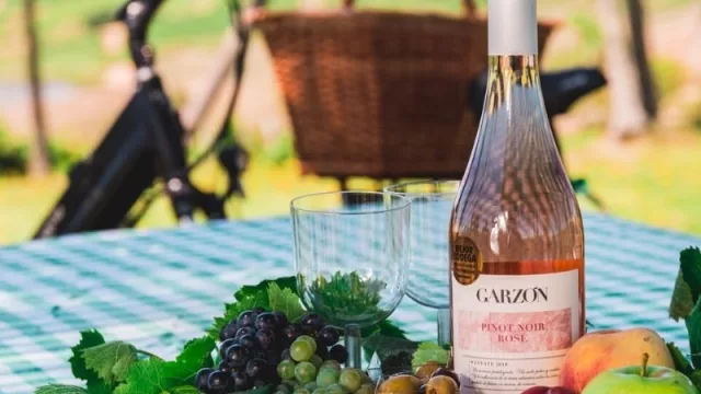 Vuelve el turismo enológico de Bodega Garzón (visitas, picnic, clases de cocina y hasta hacer tu vino) 