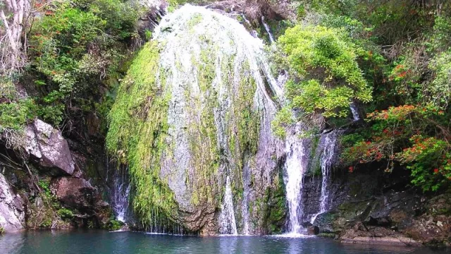 En la Ley de Urgente Consideración se plantea la reducción de algunas áreas naturales protegidas, como Quebrada de los Cuervos y Sierra del Yerbal, lo que permitiría el desarrollo de proyectos de fore