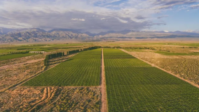 Qué es "la bodega aérea vía terrestre" y en qué beneficia a Córdoba y al interior (logro de ACAC)