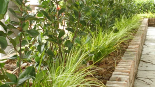 Con la directora de Decurnex, Florencia Decurnex