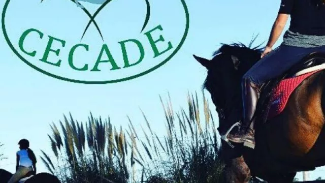 Un negocio para mantenerse en carrera y dar el salto     