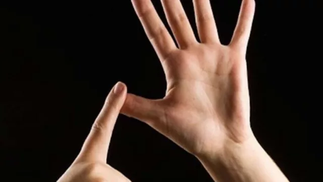 Cuando lo inclusivo se hace exclusivo (lengua de señas en tiempo de COVID-19)