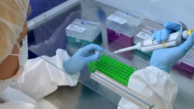 La ANII y el BID financian la producción 10.000 kits de diagnóstico de COVID-19