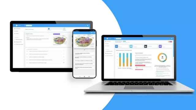 Evaluados (la plataforma digital para dictar claes online)  